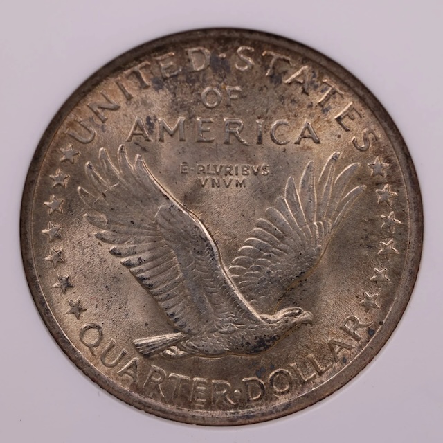 1917 Standing Liberty Quarter Type 1 Full Head close-up showing sharp hair cords and distinct hairline on Liberty